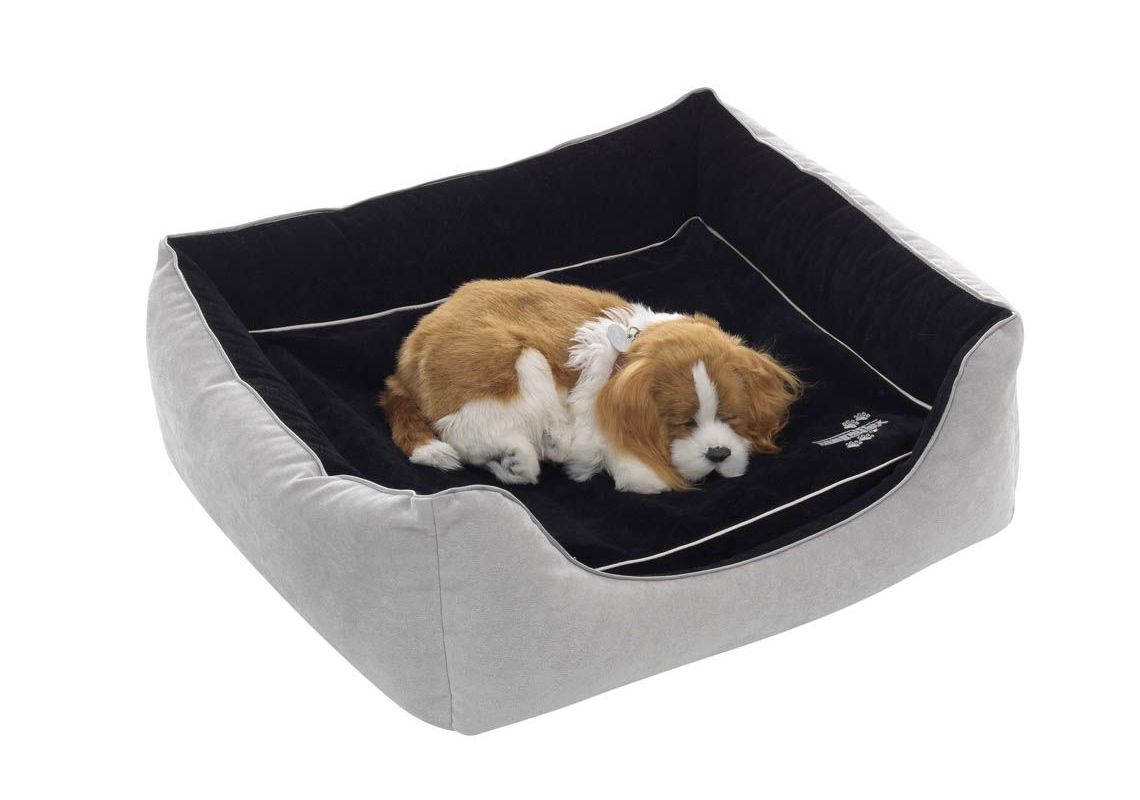 Bed狗窝