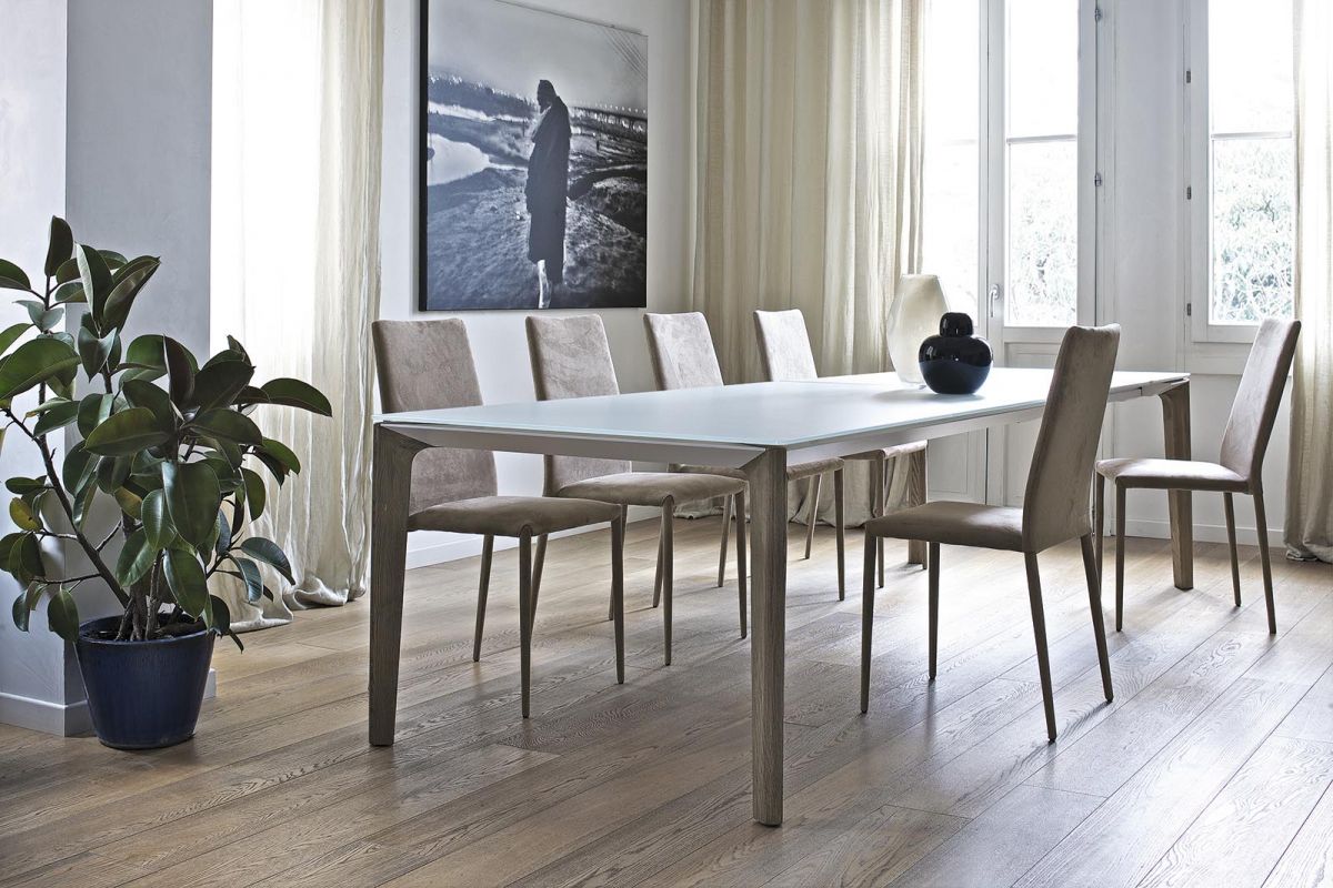 BONTEMPIVERSUS 餐桌